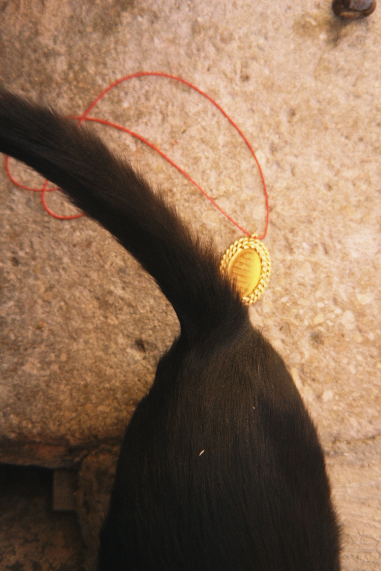 ANATOLIA, Ayetel-el Kürsi, Necklace