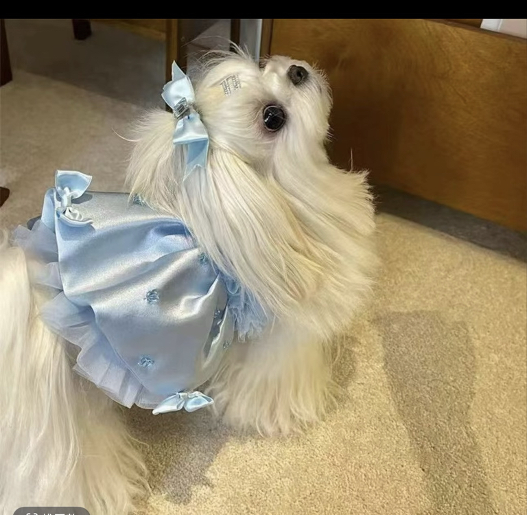 Pet Prenses elbise