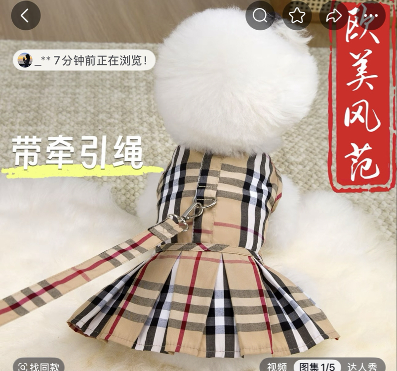 Burberry özel tasarımlı pet elbise
