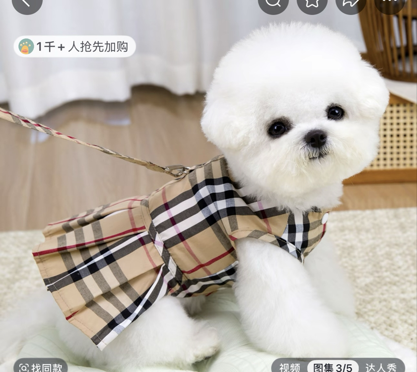 Burberry özel tasarımlı pet elbise