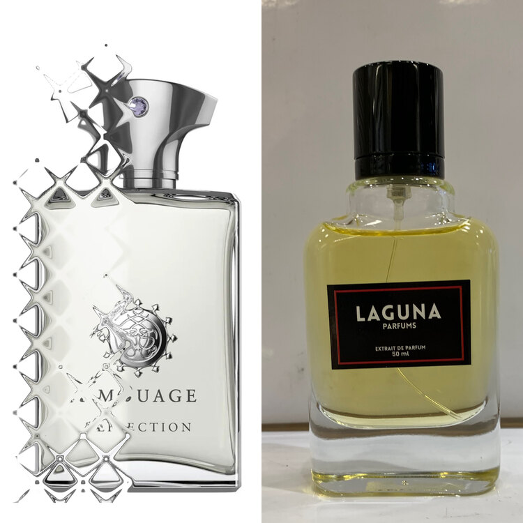 Reflection -Erkek parfüm 50 ML