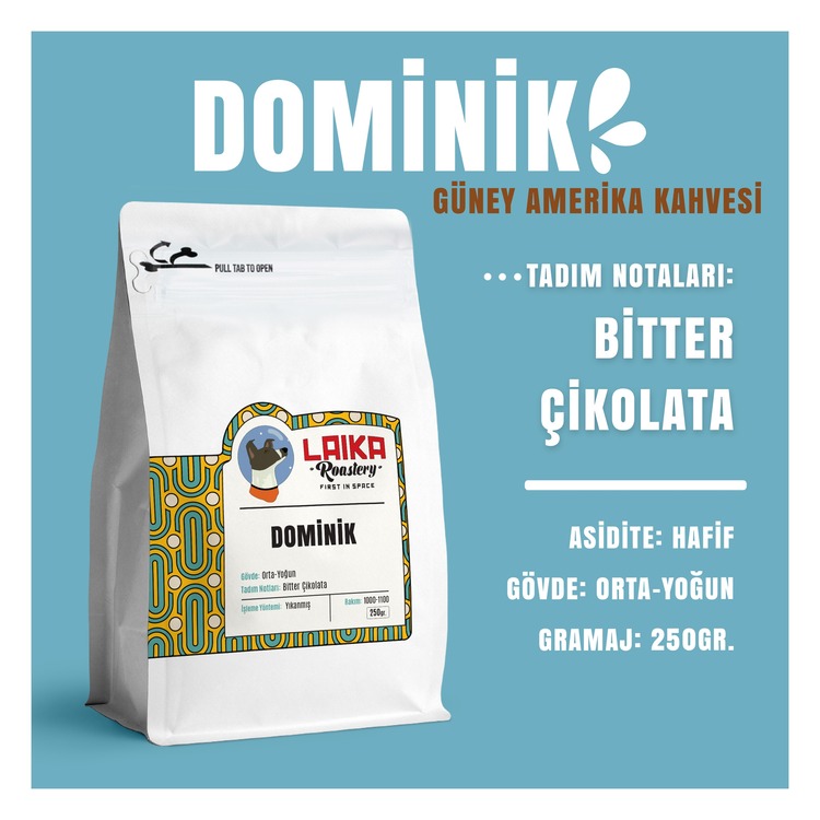 DOMİNİK