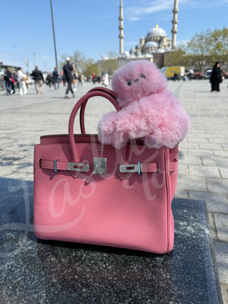 Mirumi - Duygusal Zekalı Sesli ve Hareketli Peluş Mini Oyuncak Robot Pembe