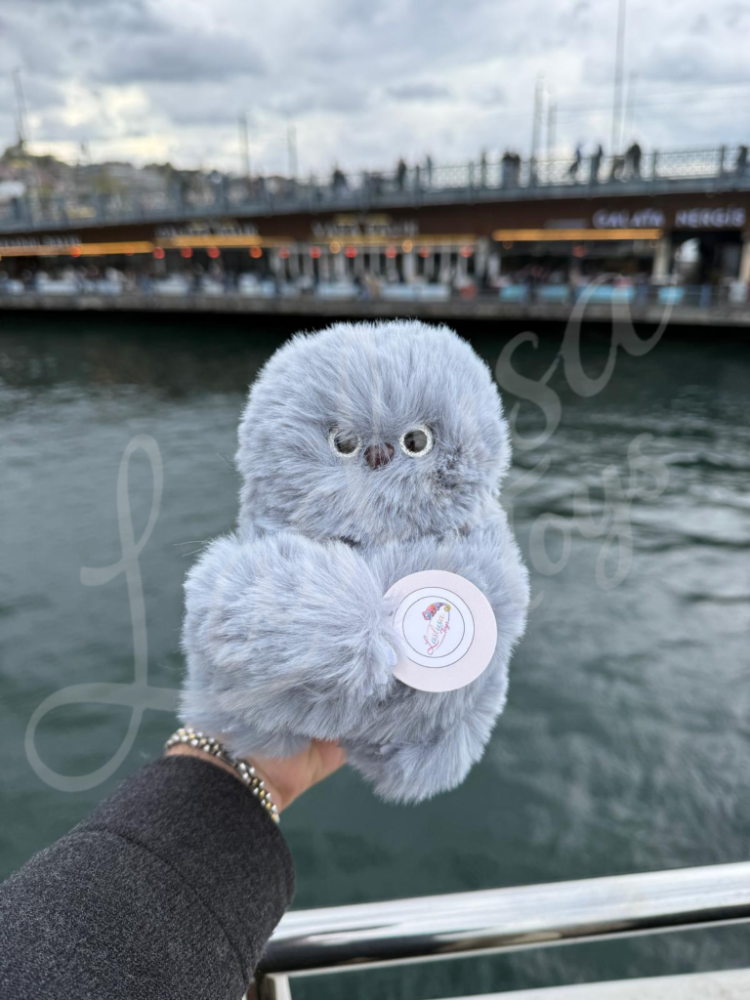 Mirumi - Duygusal Zekalı Sesli ve Hareketli Peluş Mini Oyuncak Robot Gri