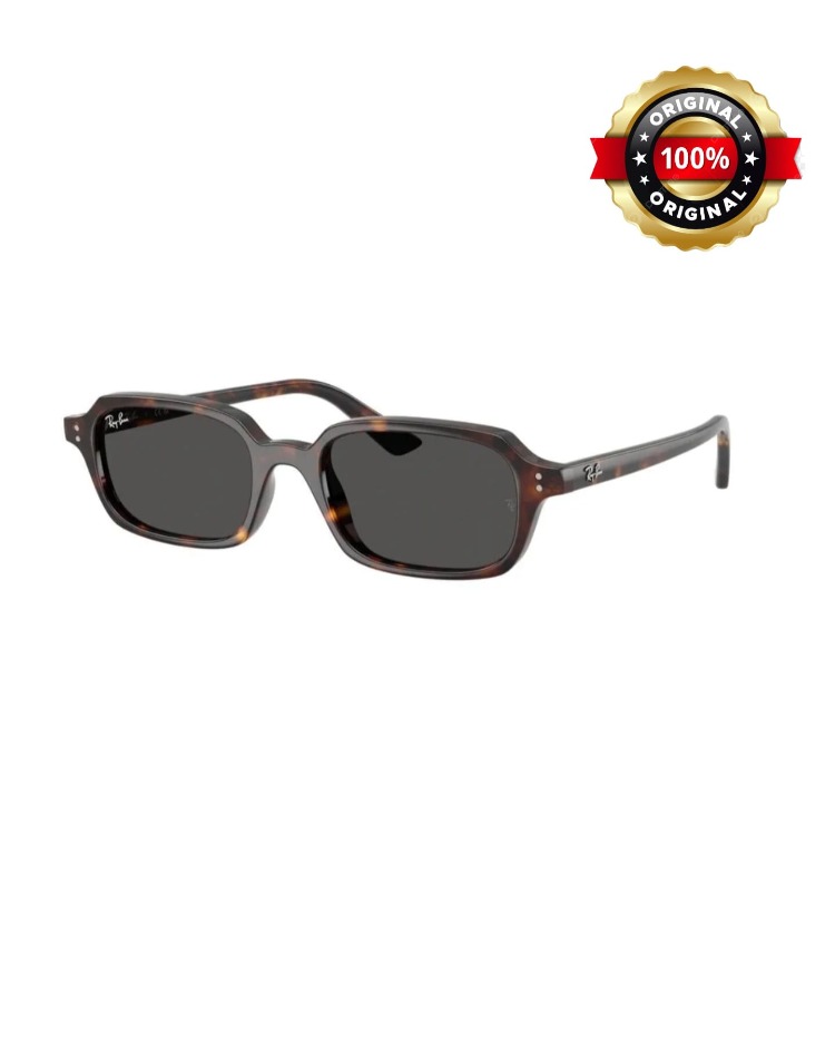 Ray Ban Rb 4455 1359/8749 52