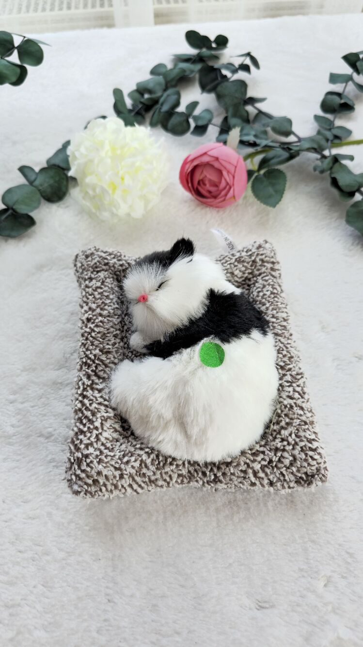 Sesli Uyuyan Kedi
