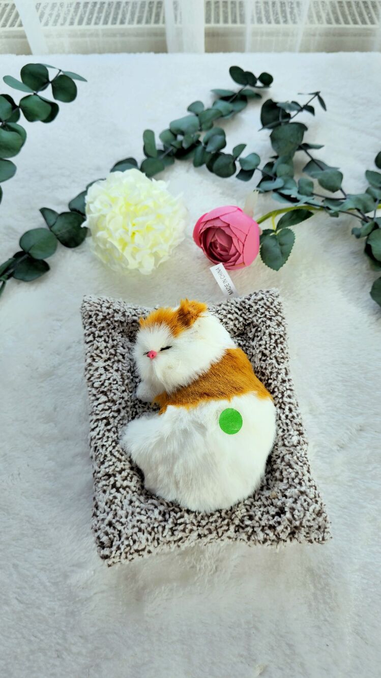 Sesli Uyuyan Kedi
