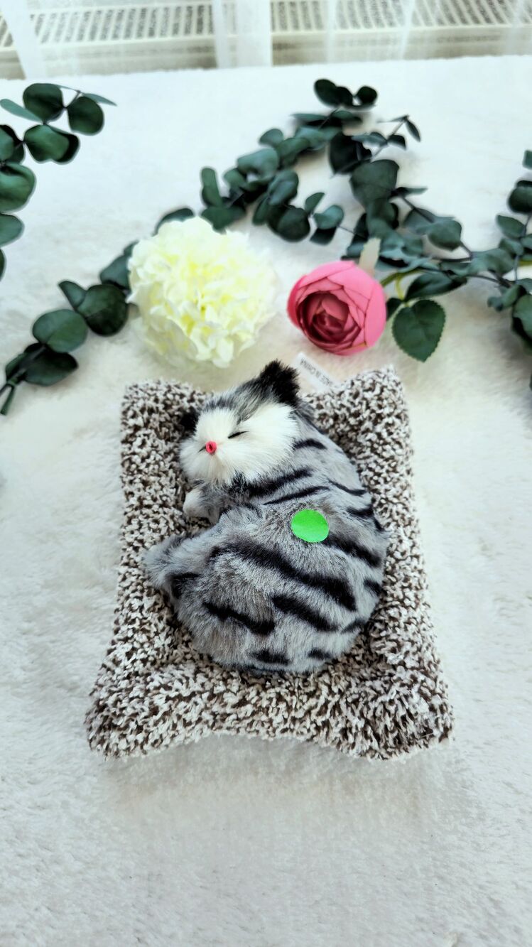 Sesli Uyuyan Kedi