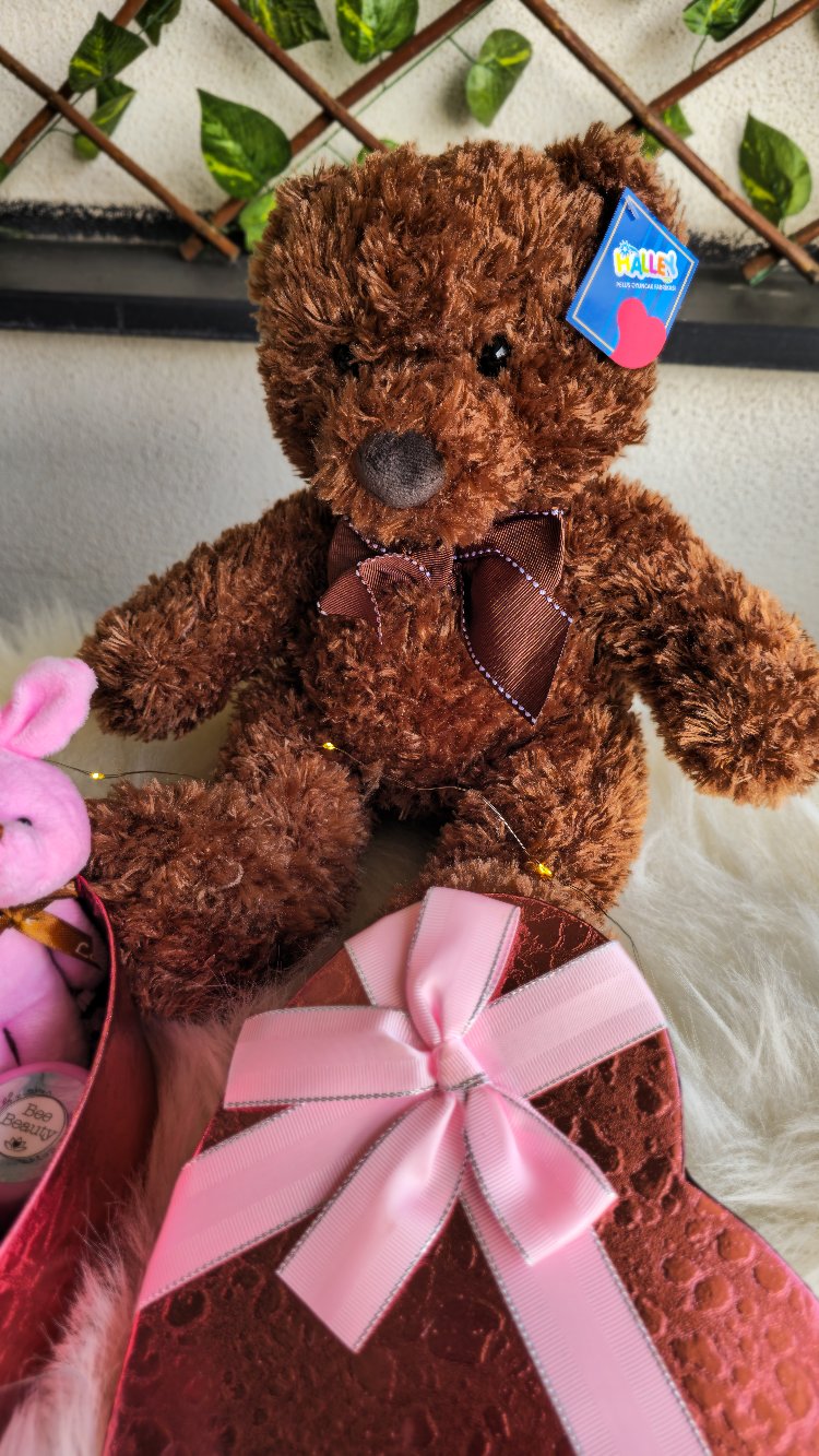 Premium Romantik Hediye Seti – Peluş Ayıcık & Kalpli Özel Tasarım Sevgiliye Hediye Kutusu