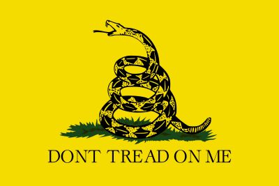 Dont Tread On Me Bayrak