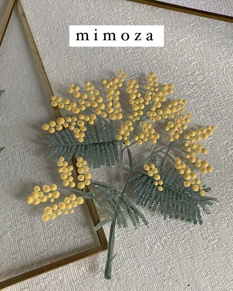 Mimoza pirinç çerçeveli tablo