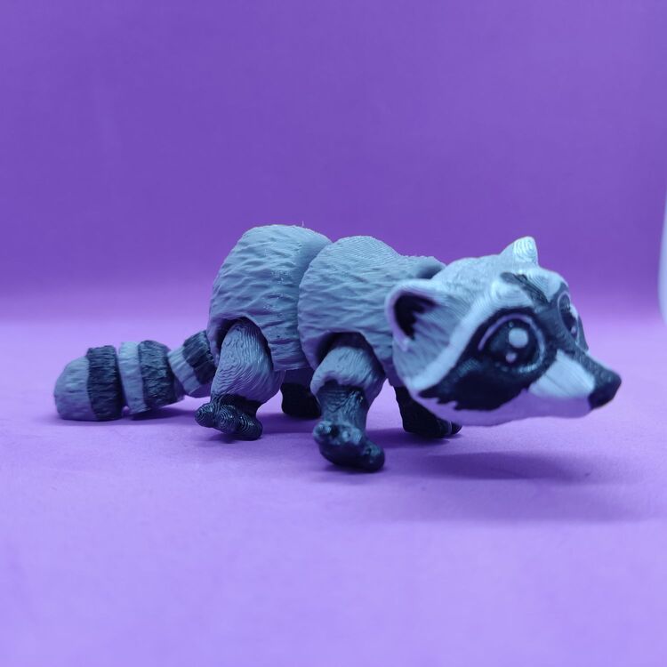Rıfkı The Racoon