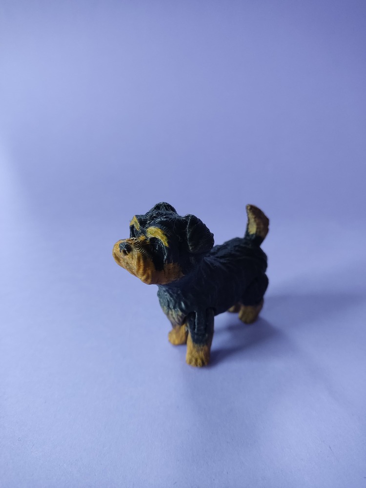 Yorkie the Yorkshire terrier
