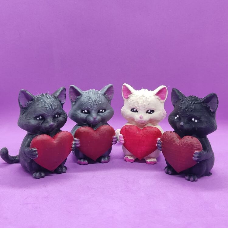 Sevgi Elçisi Kedi