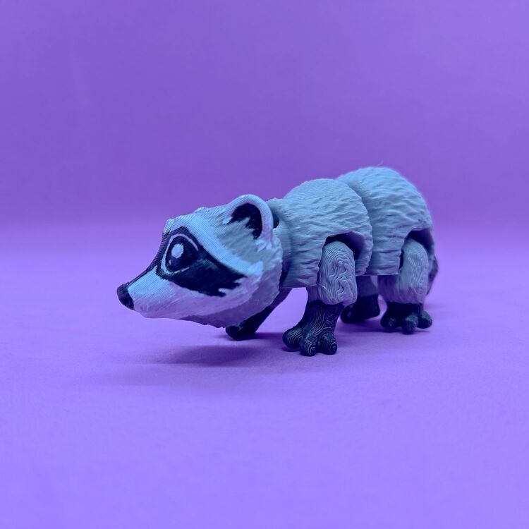 Rıfkı The Racoon