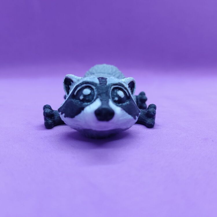 Rıfkı The Racoon