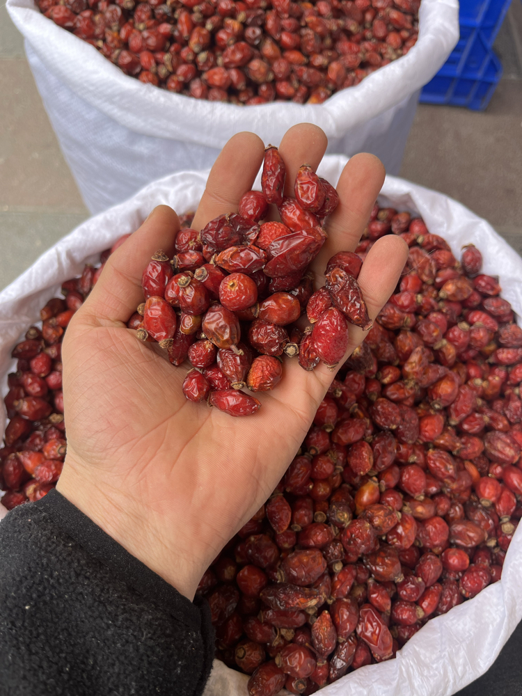 KURU KUŞBURNU net 1 KG