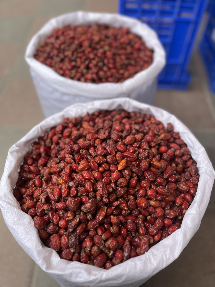 KURU KUŞBURNU net 1 KG