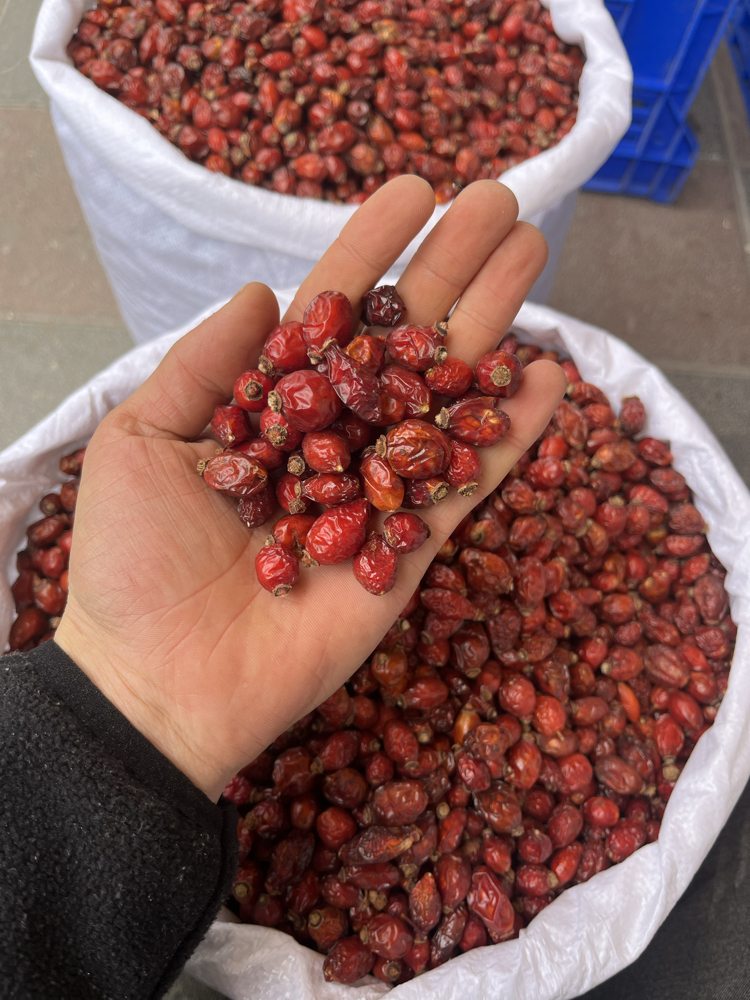 KURU KUŞBURNU net 1 KG
