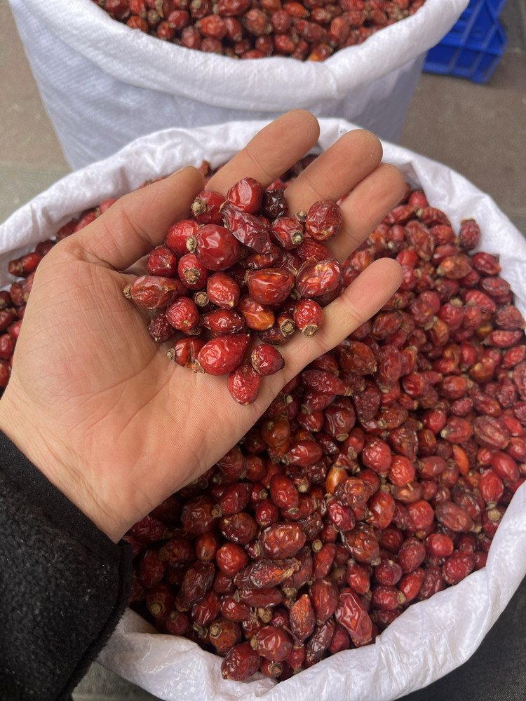 KURU KUŞBURNU net 1 KG