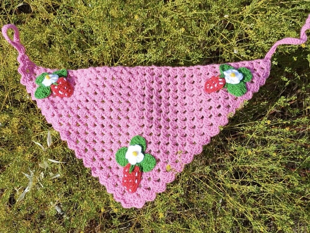 Strawberry Saç Bandanası