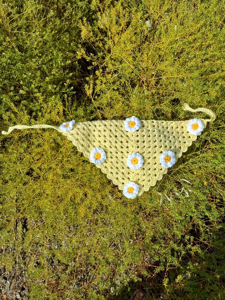Daisy Saç Bandanası