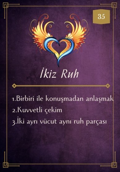Hale Oracle