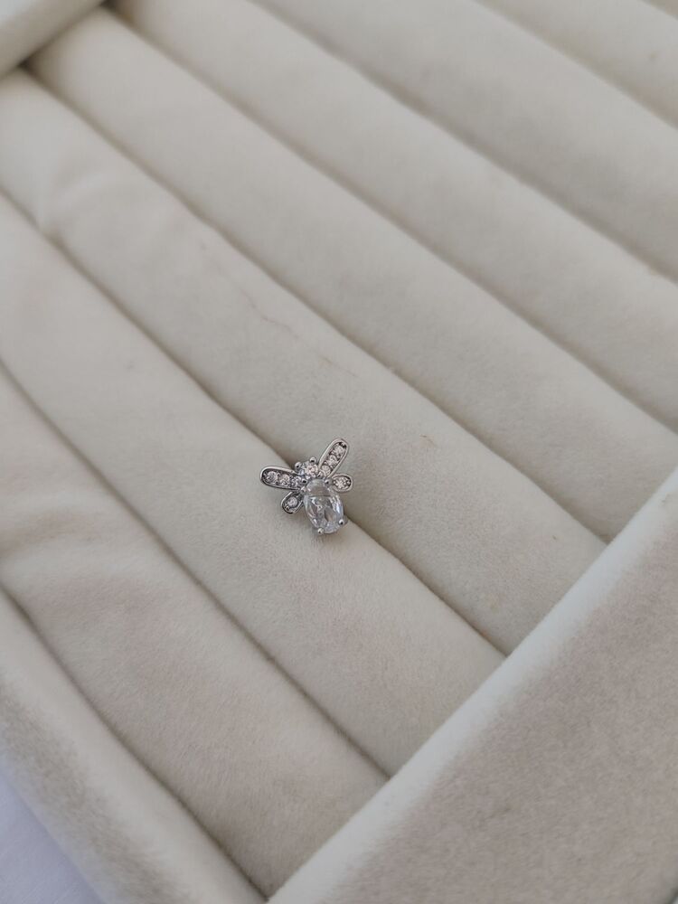 Arı/Cerrahi Çelik Tragus Küpe