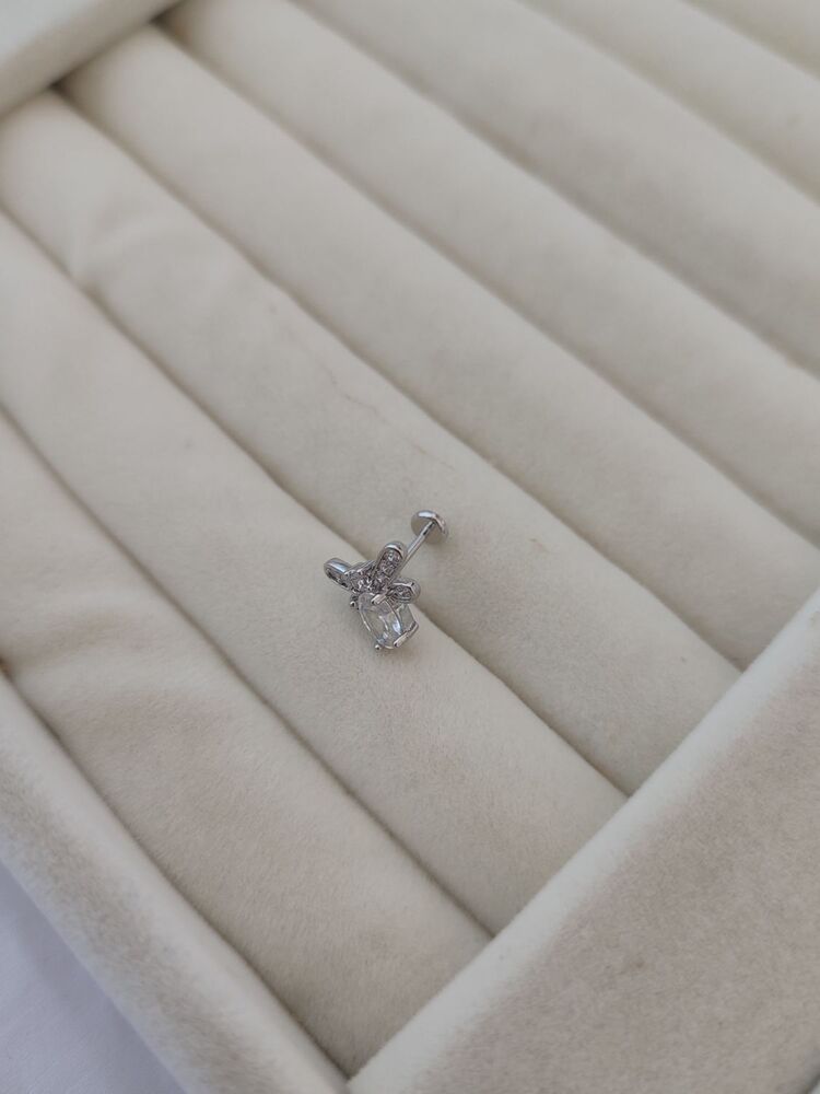 Arı/Cerrahi Çelik Tragus Küpe