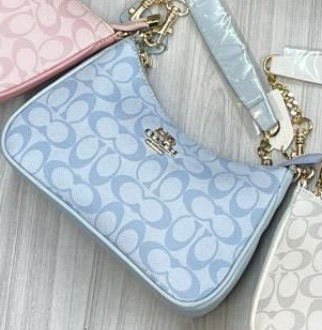 Coach Teri Shoulder Bag