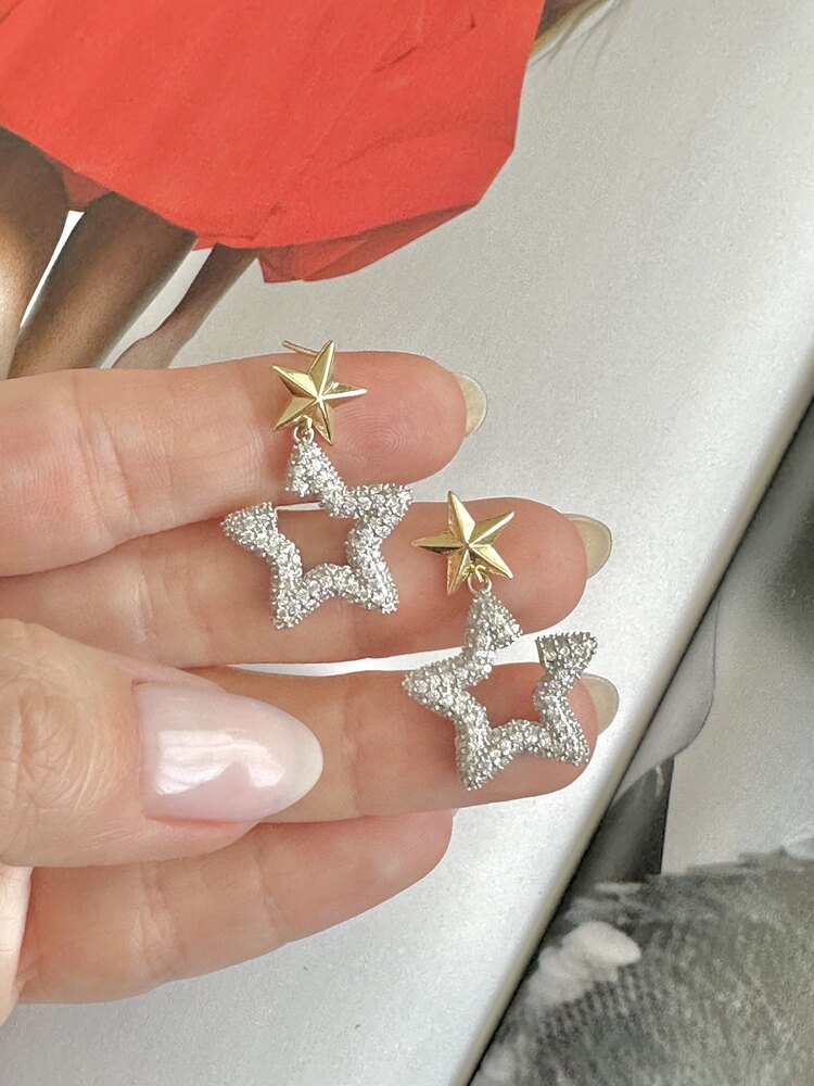 2 Renk Star Küpe 