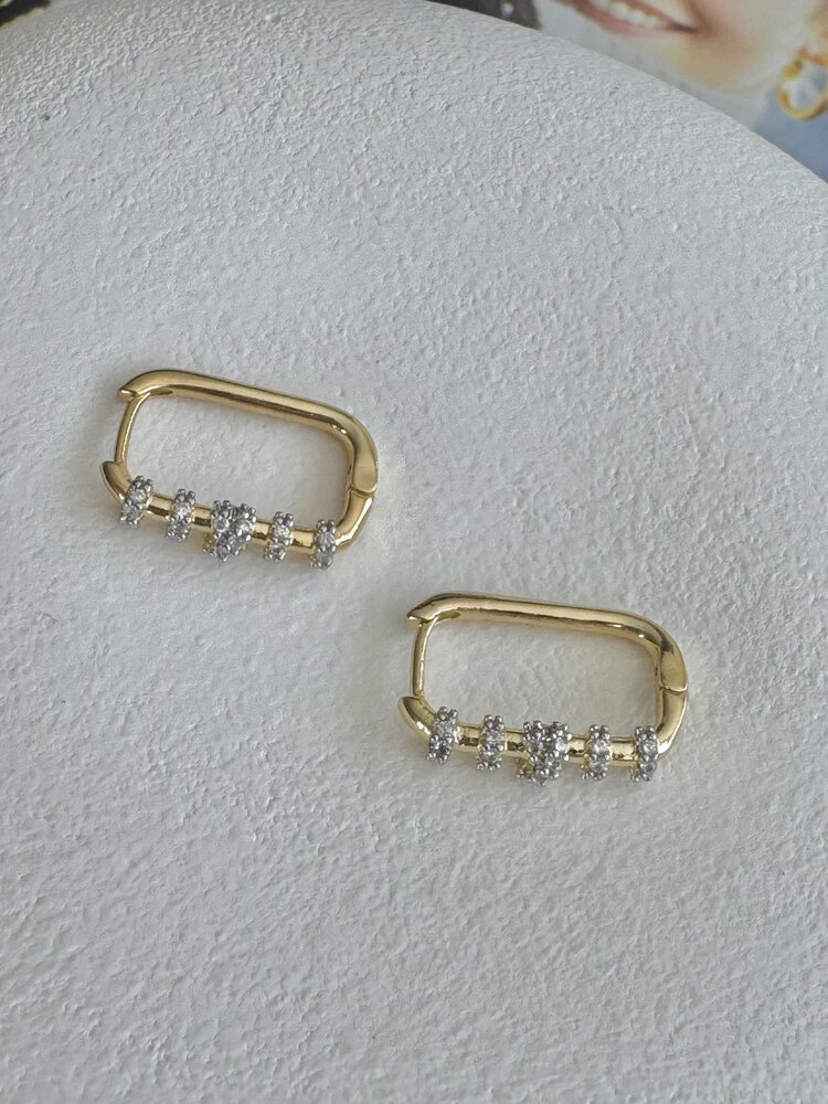 2 Renk Oval Taş Kesit Küpe 
