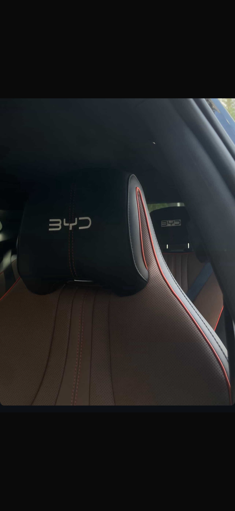 BYD LOGO