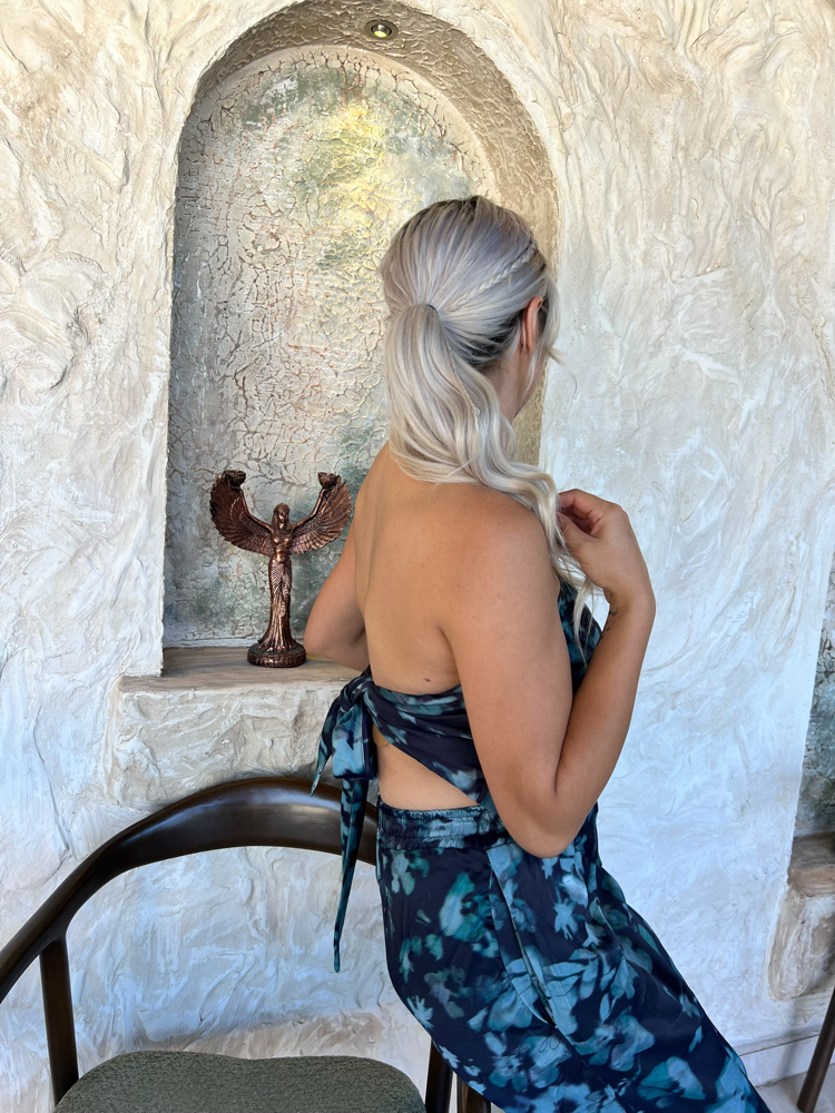 Aqua Muse Takım