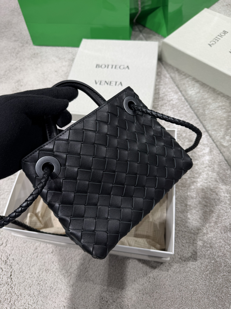 Bottega veneta mini andiamo