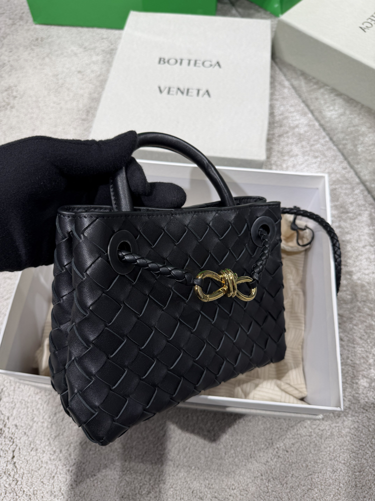 Bottega veneta mini andiamo
