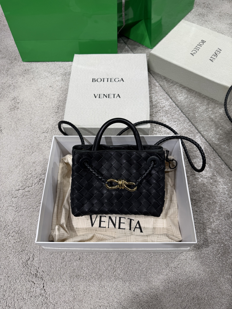 Bottega veneta mini andiamo