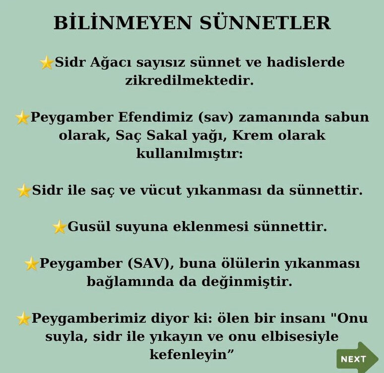 Sidr sabunu