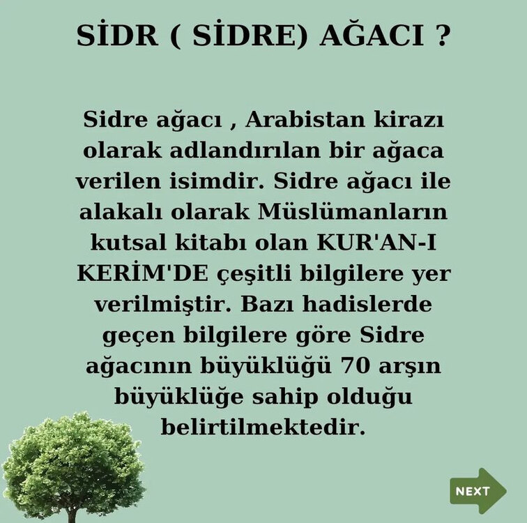 Sidr sabunu