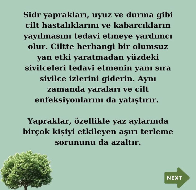 Sidr sabunu