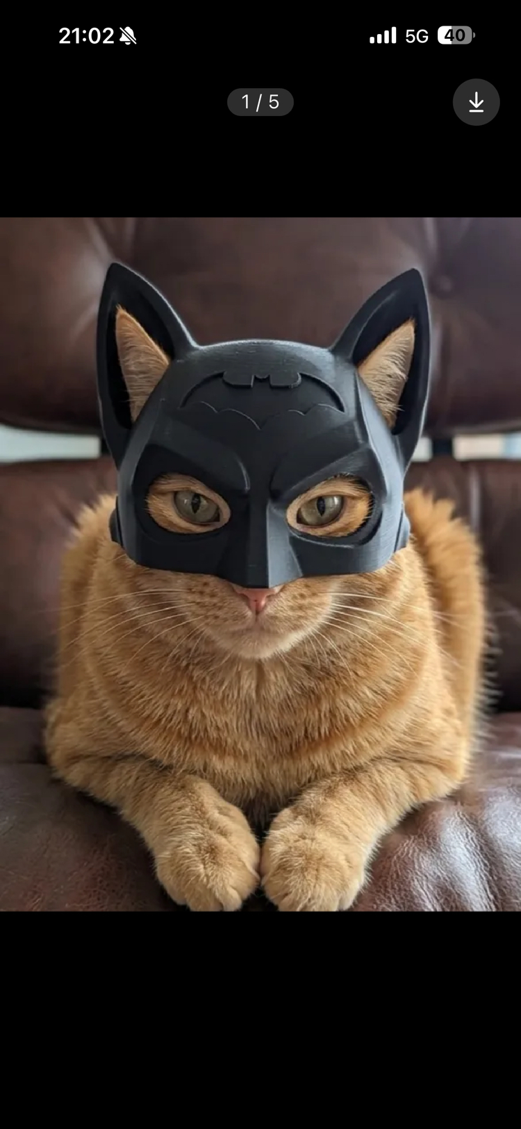 Kedi Süper Kahraman Maskesi