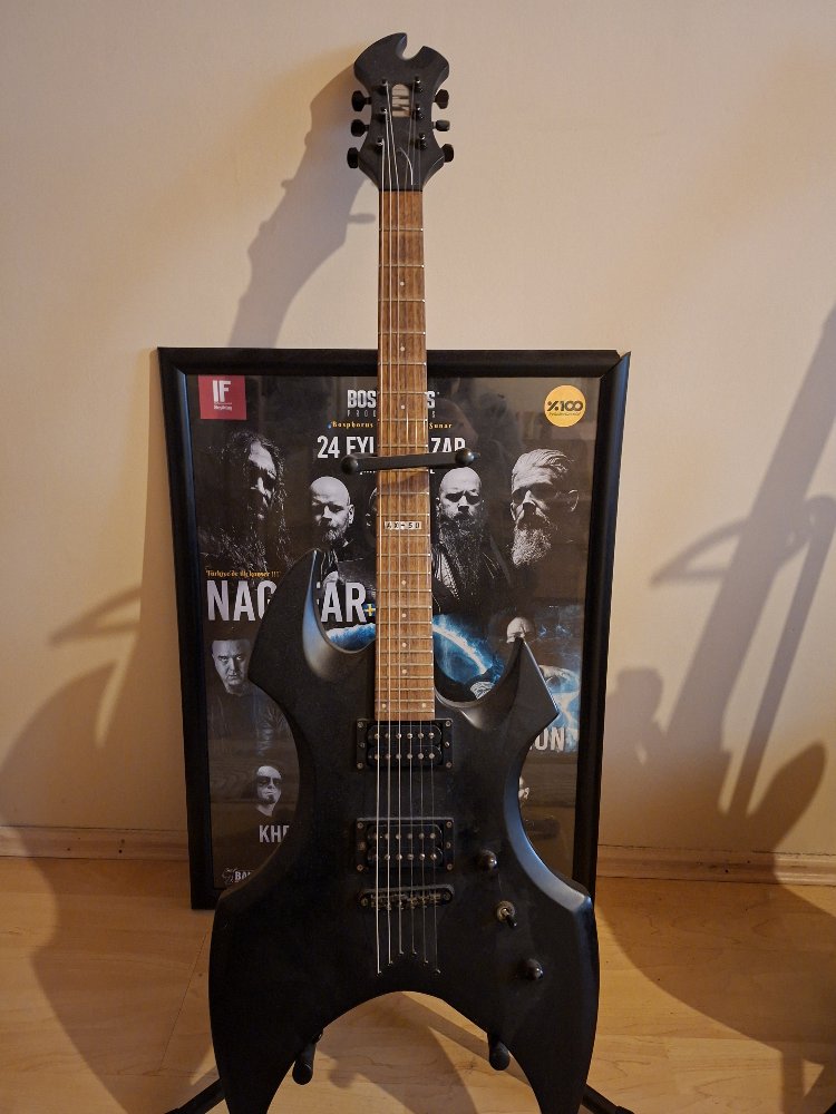 Guitar / LTD