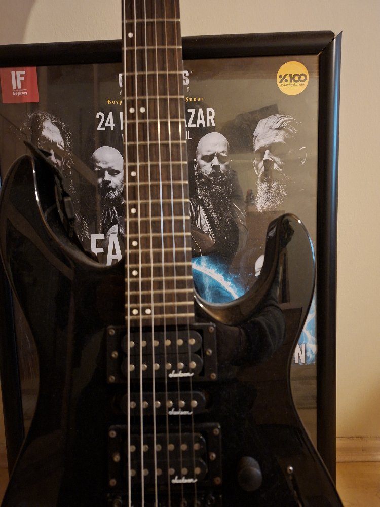 Guitar / Jackson