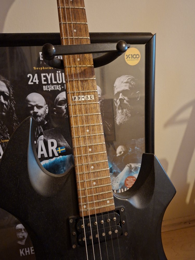 Guitar / LTD