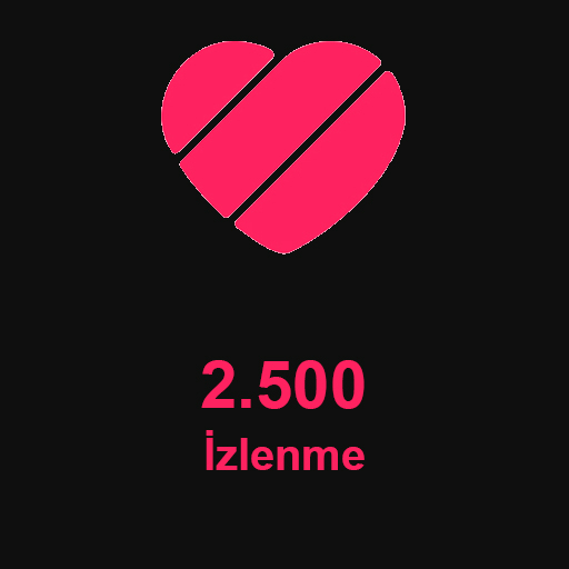 2.500 İzlenme