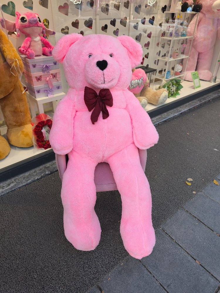 160 cm BÜYÜK BOY PELUŞ AYICIK (1.60 CM)