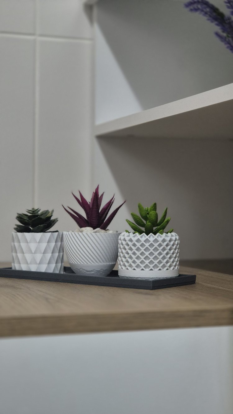 Modern 3'lü Dekoratif Mini Saksı Seti