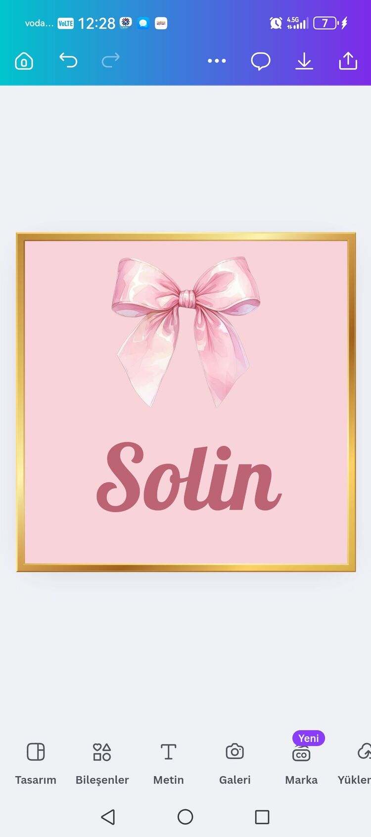 solin