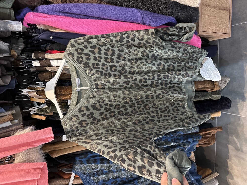 Sim Detay Leopar Blus
