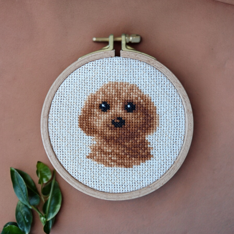 Pet Series No:1 Toy Poodle